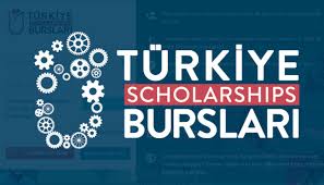 Sabanci University Summer Research Fellowship Program (Türkiye)